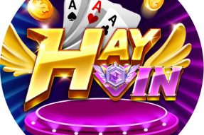 Hay Vin – Cổng Game Đổi Thưởng Khuấy Đảo Thị Trường