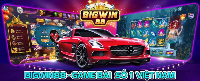 Tổng quan về cổng game BigWin88 Vip